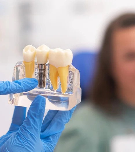 Dentist holding a dental implant model for patient education
