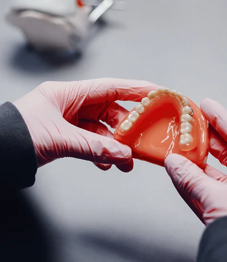 Dentist holding removable denture model during consultation