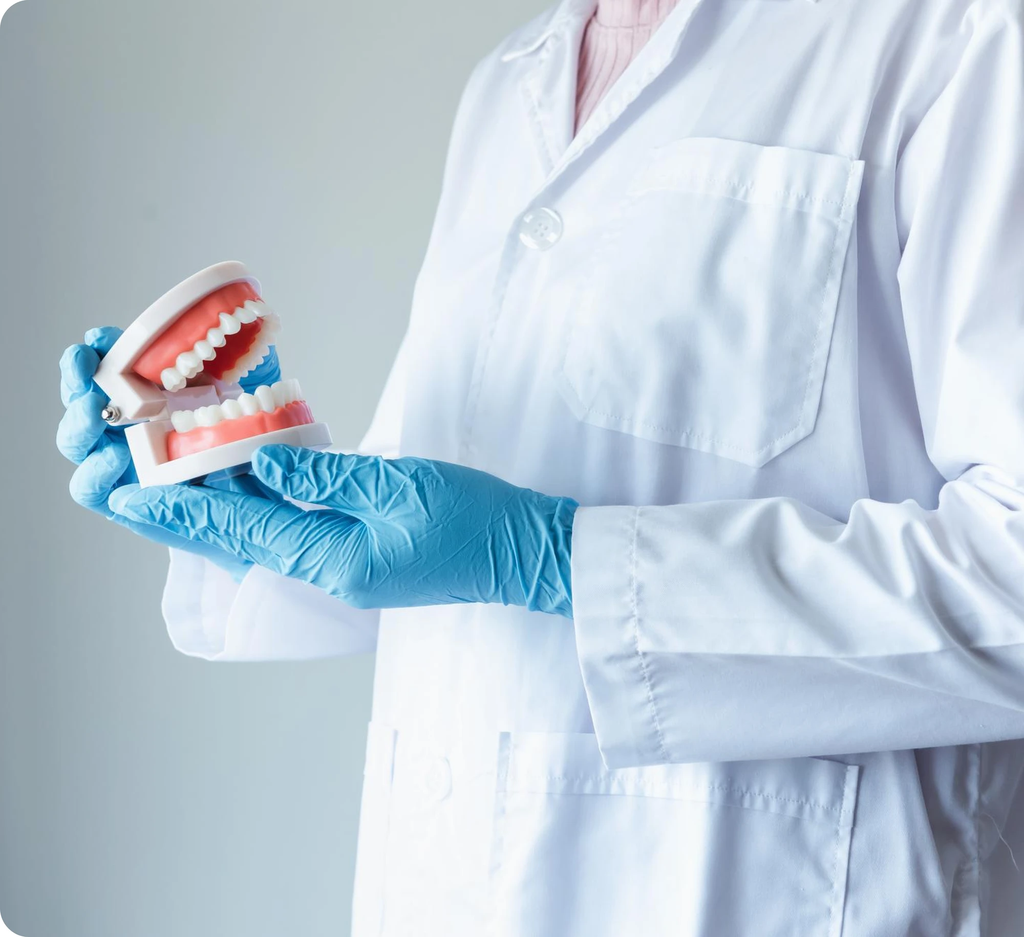 Dentist in a white coat and blue gloves holding a full upper and lower denture model